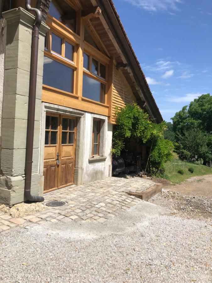 Serenite Et Nature Dans Une Ferme Equestre Vila Massonnens Exterior foto