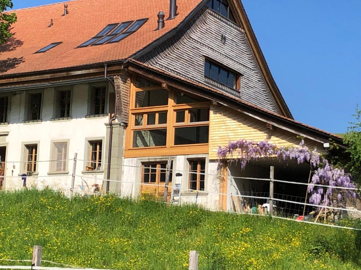 Serenite Et Nature Dans Une Ferme Equestre Vila Massonnens Exterior foto