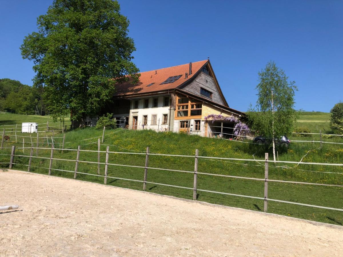 Serenite Et Nature Dans Une Ferme Equestre Vila Massonnens Exterior foto