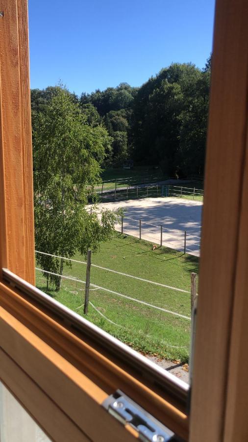 Serenite Et Nature Dans Une Ferme Equestre Vila Massonnens Exterior foto