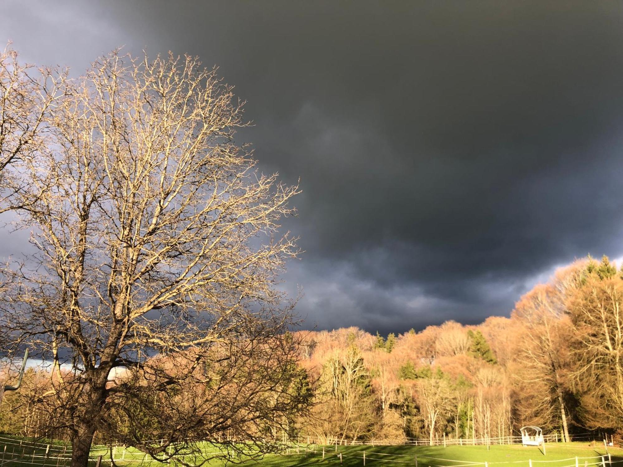 Serenite Et Nature Dans Une Ferme Equestre Vila Massonnens Exterior foto