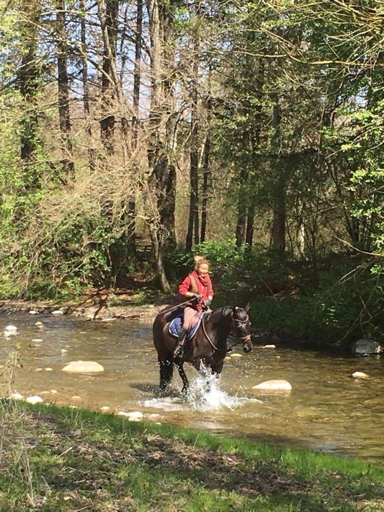 Serenite Et Nature Dans Une Ferme Equestre Vila Massonnens Exterior foto