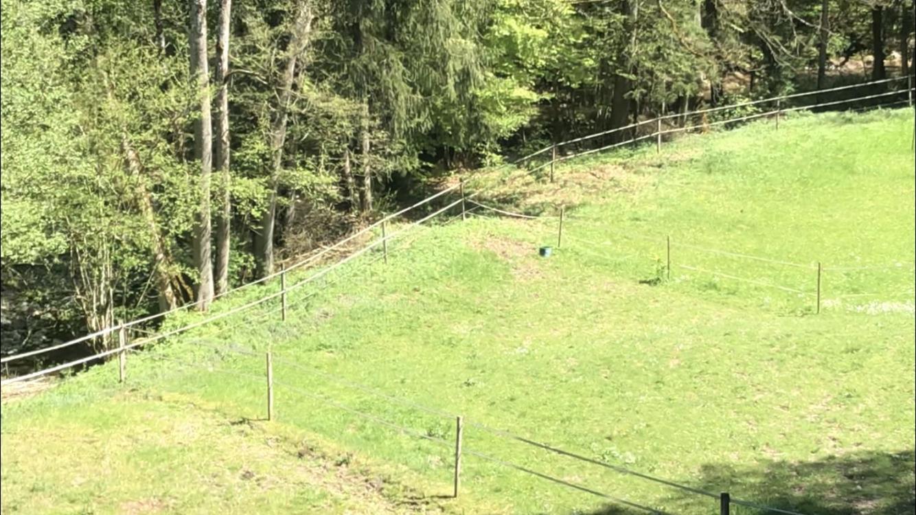 Serenite Et Nature Dans Une Ferme Equestre Vila Massonnens Exterior foto