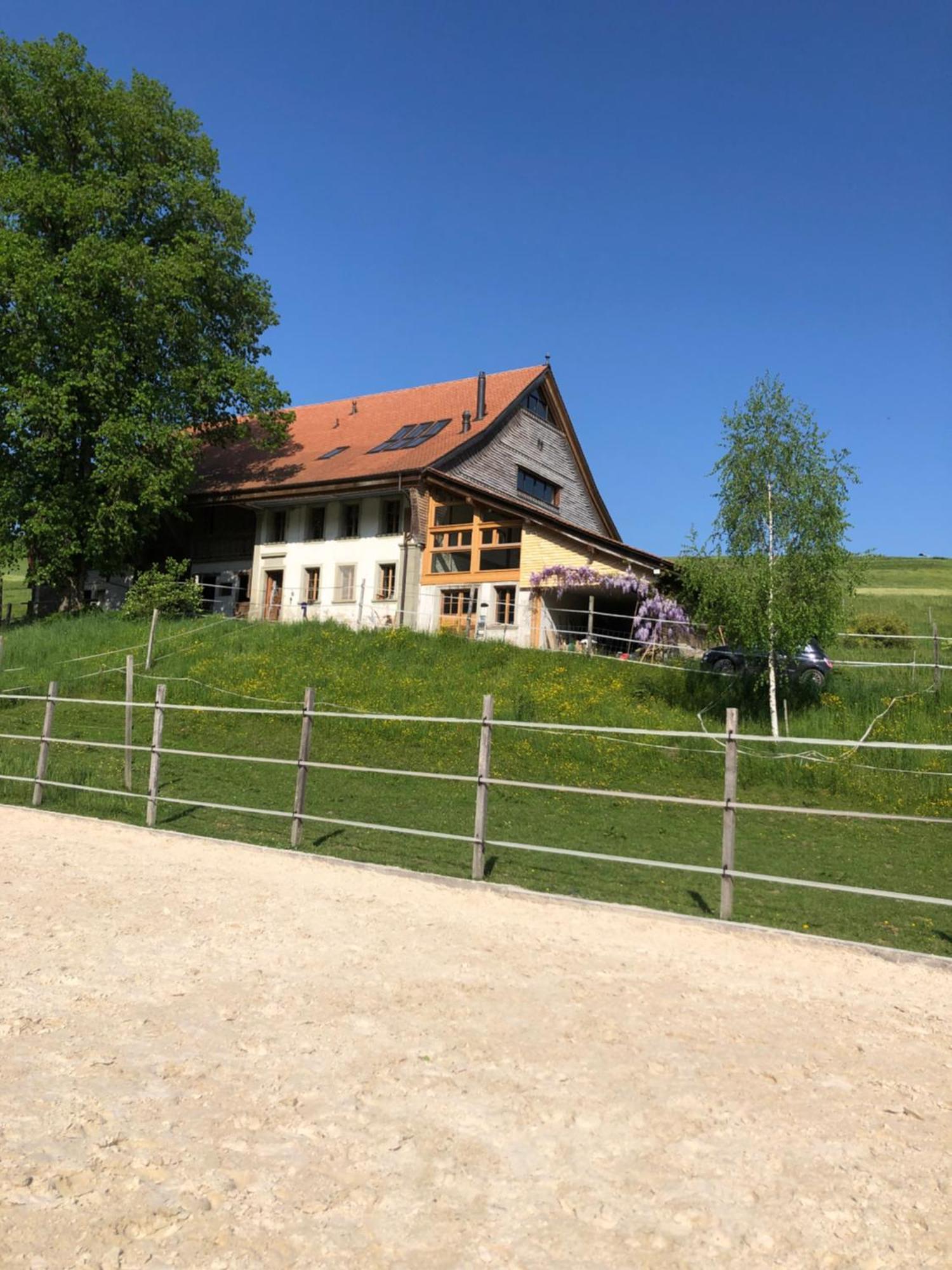 Serenite Et Nature Dans Une Ferme Equestre Vila Massonnens Exterior foto