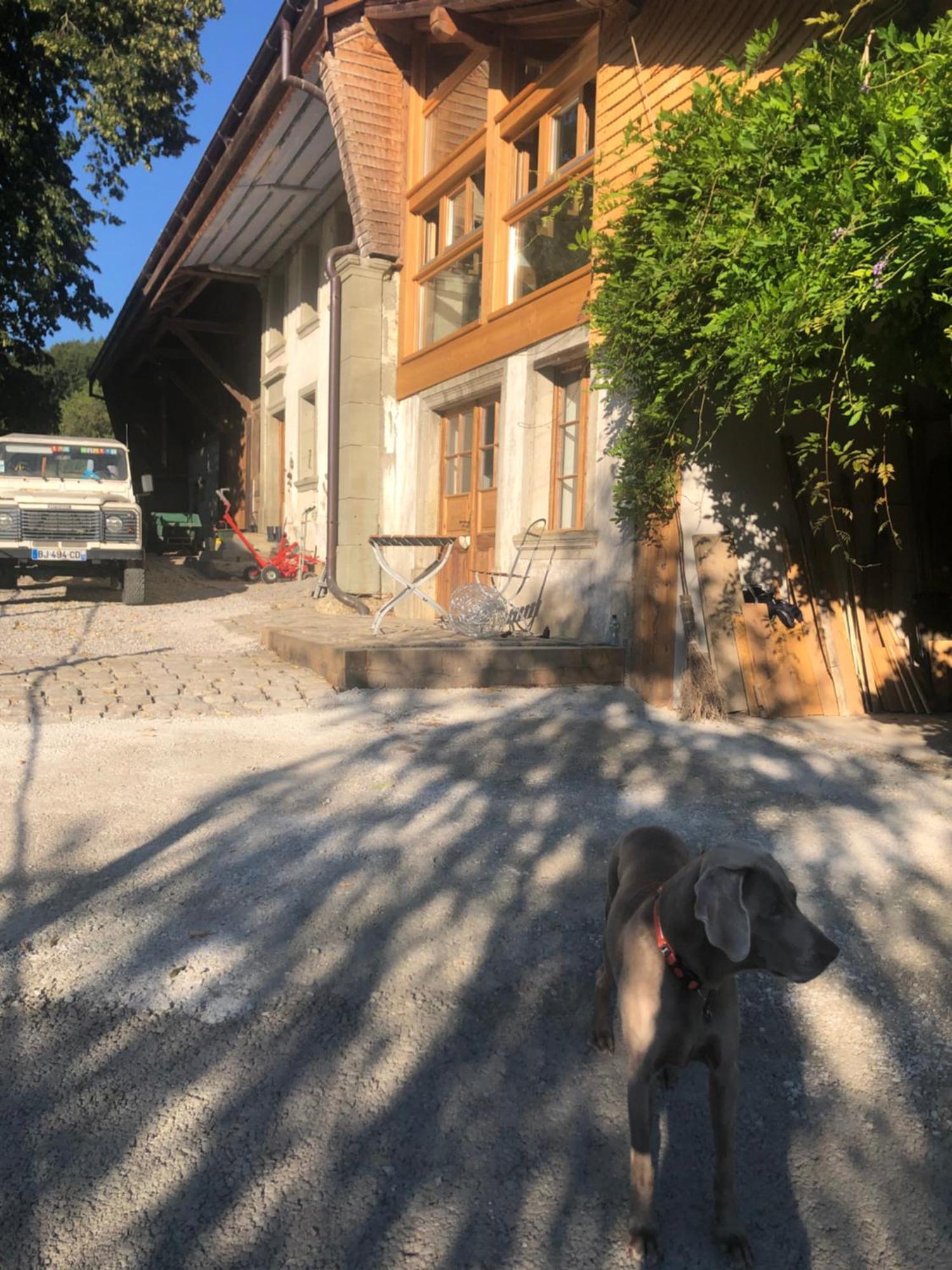 Serenite Et Nature Dans Une Ferme Equestre Vila Massonnens Exterior foto